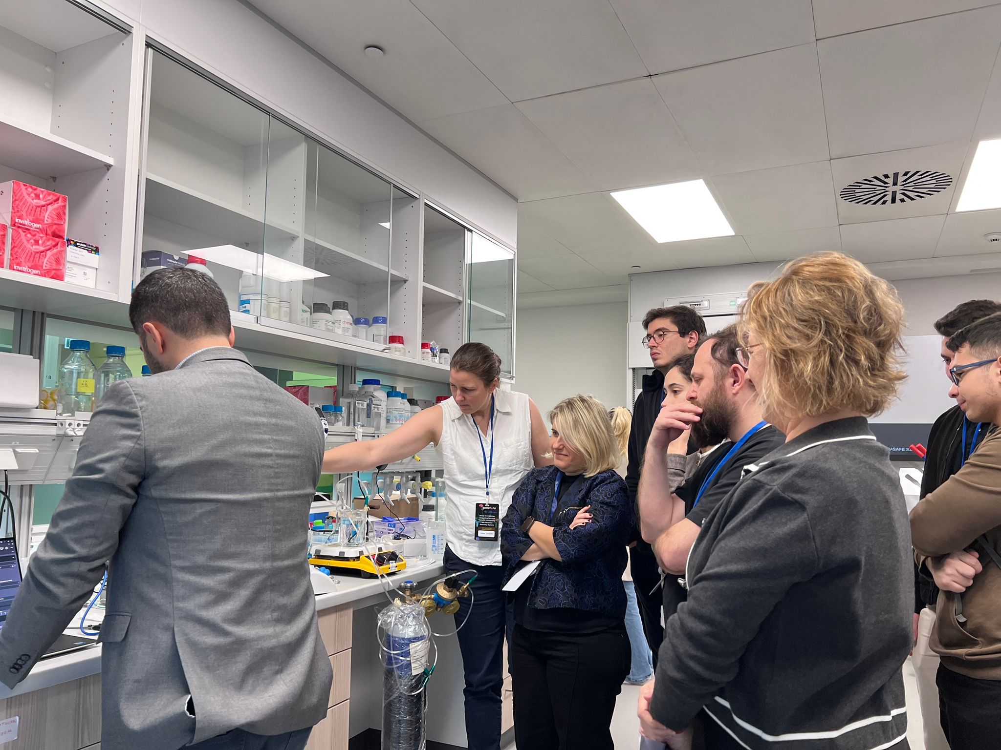 MEA workshop practical session