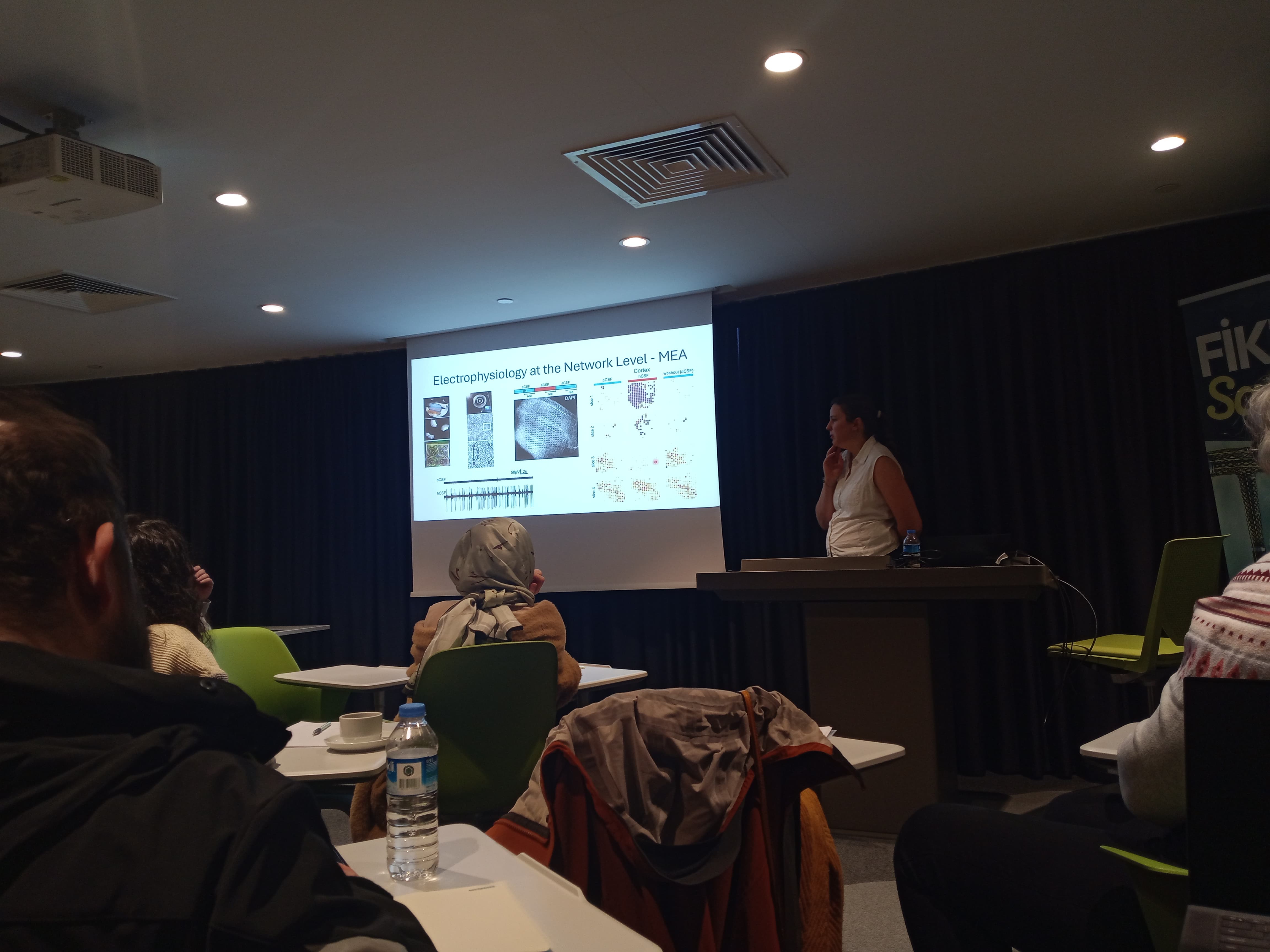 MEA workshop theoretical session