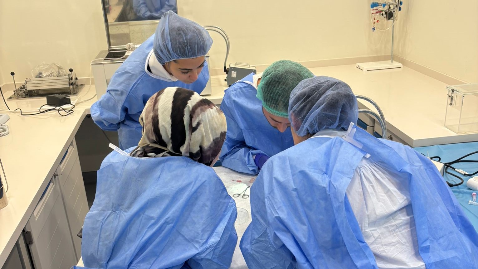 stv courtney j. wright