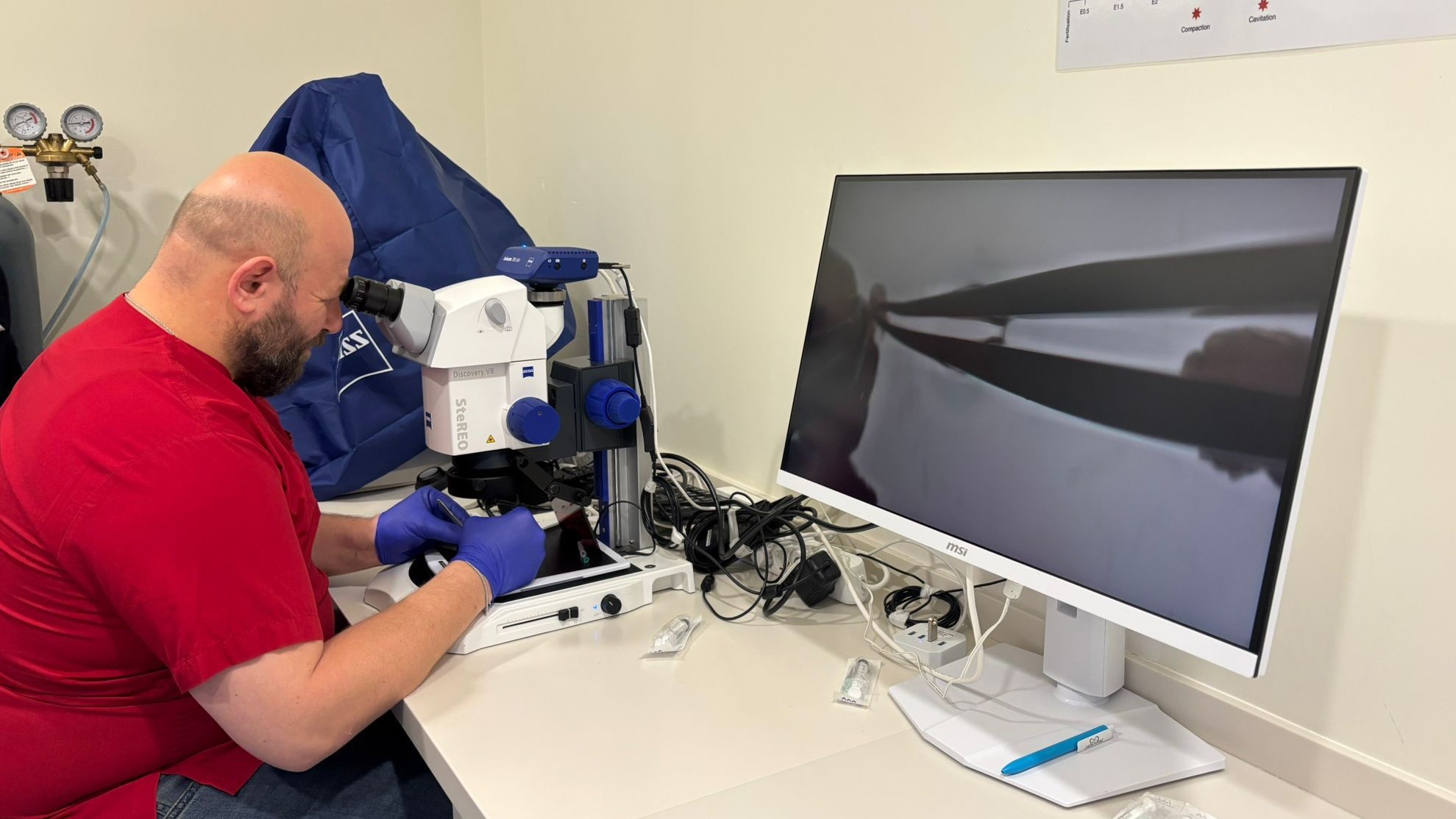 GEMSTONE Project hosts hands-on training on IVF applications for ...