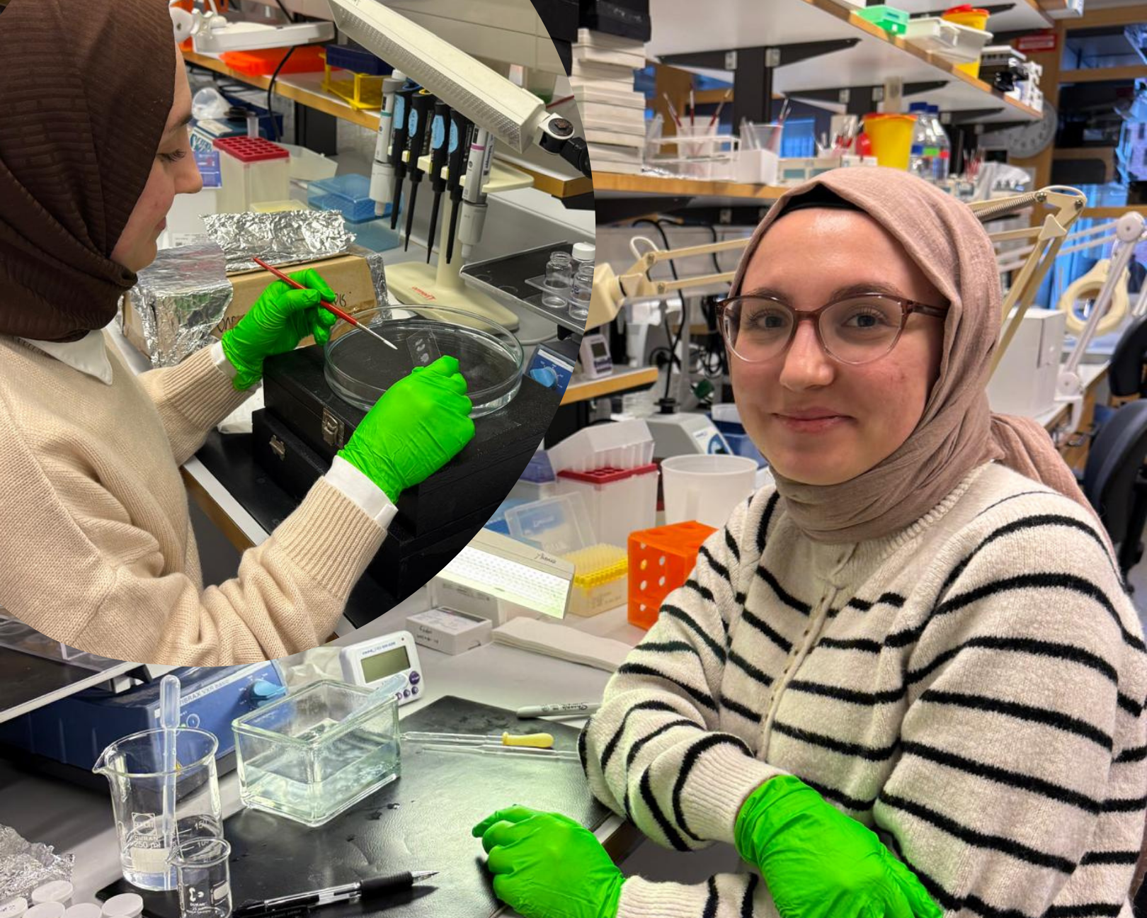 Nursima Mutlu at BRAINS, ULUND